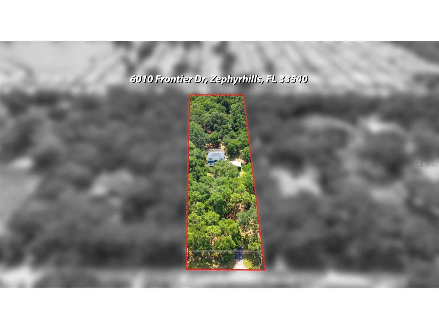 6010 Frontier Drive Zephyrhills FL 33540 TB8516284 image63
