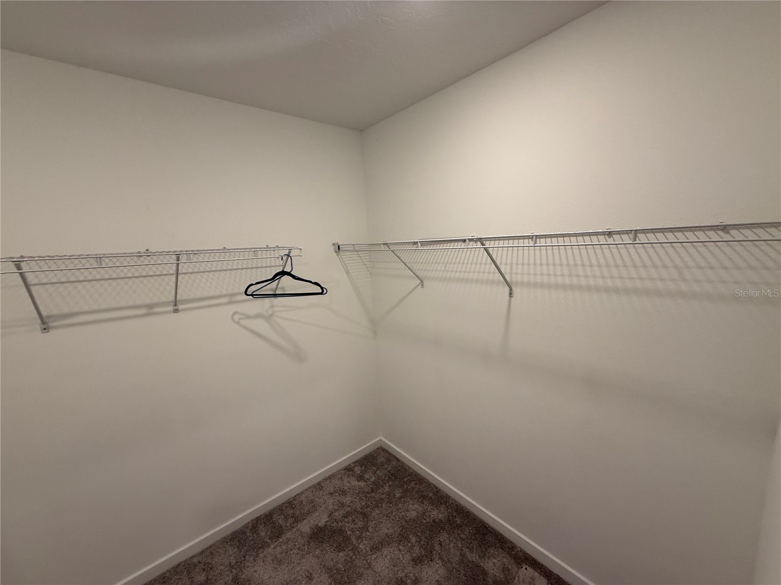 6010 Hidden Branch Drive Apollo Beach FL 33572 TB8483750 image11