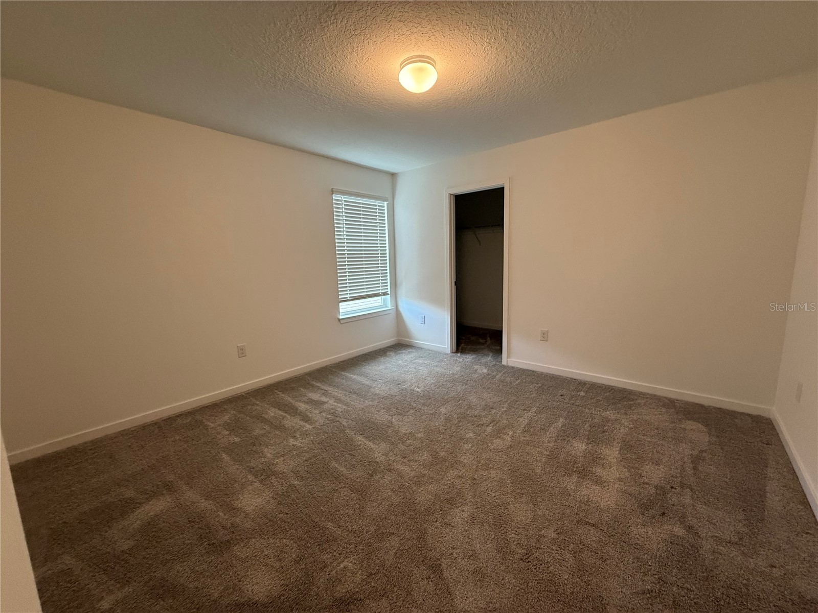 6010 Hidden Branch Drive Apollo Beach FL 33572 TB8483750 image15