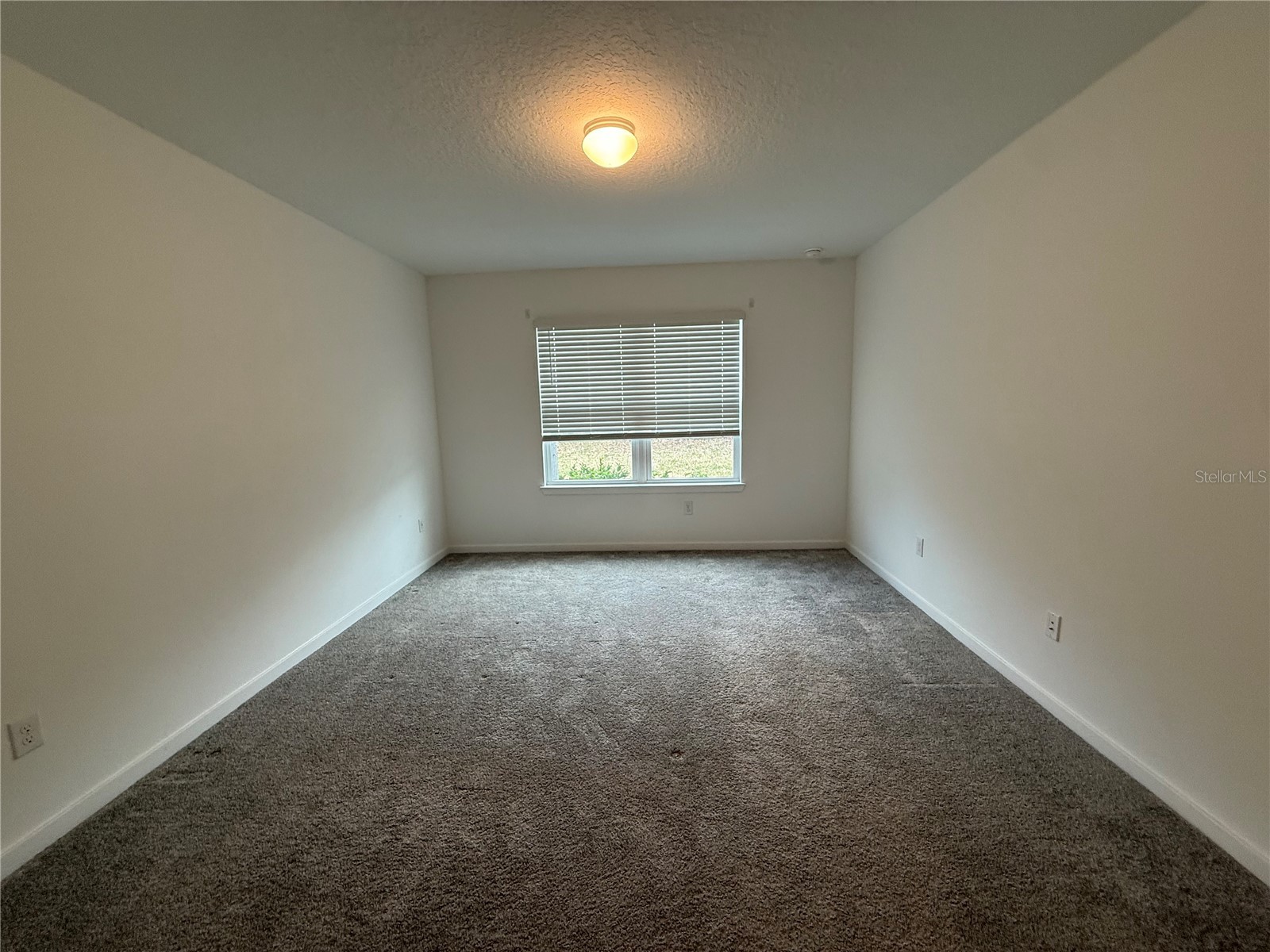 6010 Hidden Branch Drive Apollo Beach FL 33572 TB8483750 image7