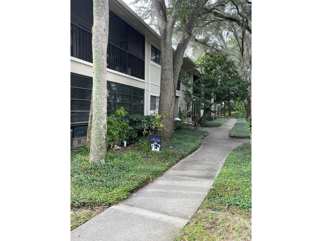 6010 Laketree Lane #L Temple Terrace FL 33617 T3491640 image1