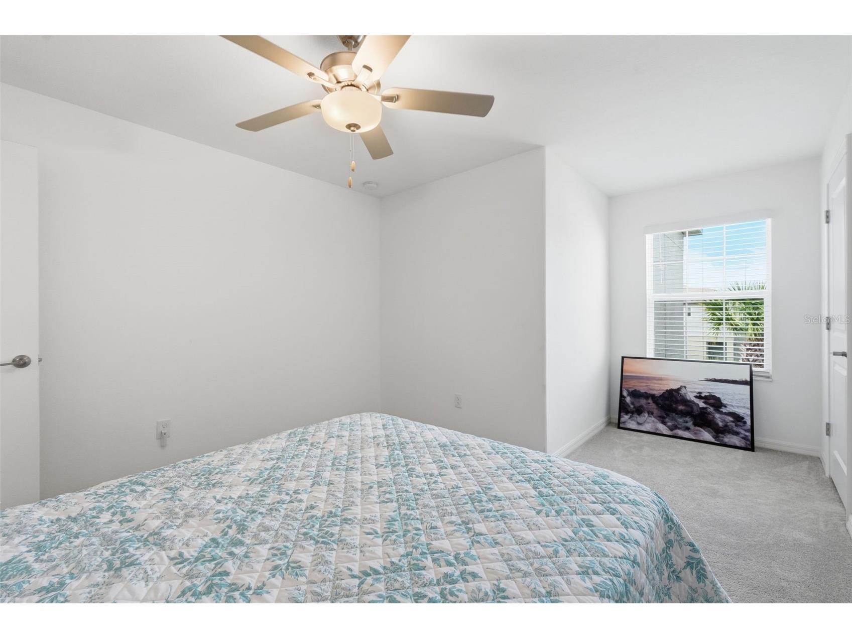 6010 Shiner Street Land O Lakes FL 34638 TB8505057 image11