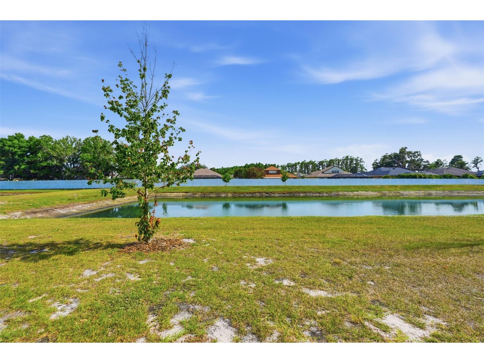 6010 Shiner Street Land O Lakes FL 34638 TB8505057 image51