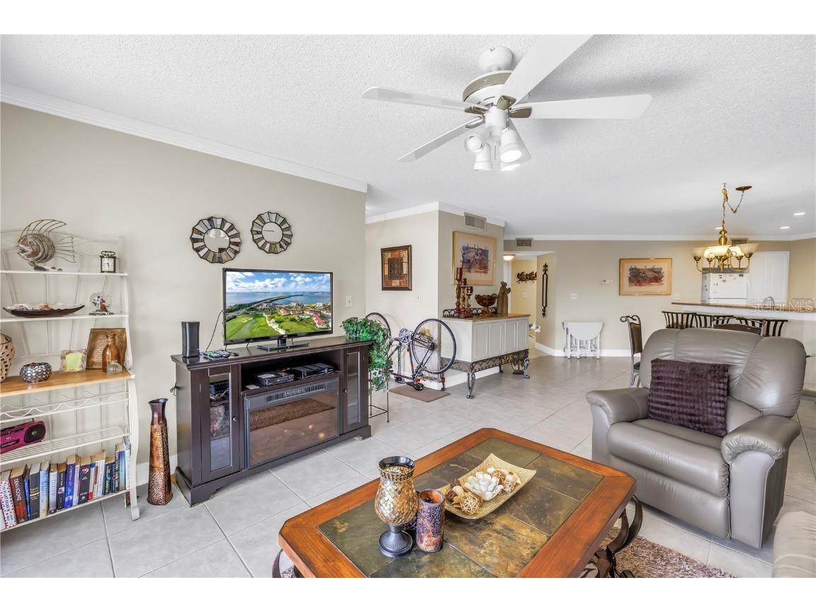 6011 Bahia Del Mar Boulevard #158 Saint Petersburg FL 33715 TB8379497 image18