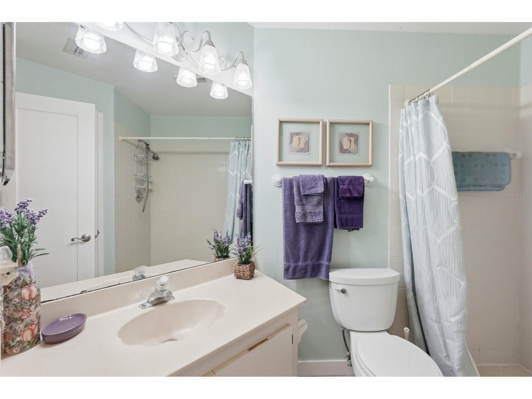 6011 Bahia Del Mar Boulevard #252 Saint Petersburg FL 33715 TB8521999 image20
