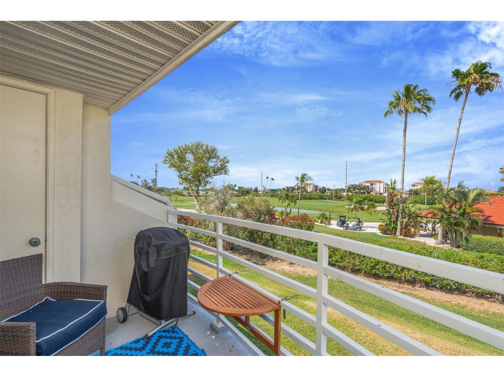 6011 Bahia Del Mar Boulevard #256 Saint Petersburg FL 33715 TB8507864 image26