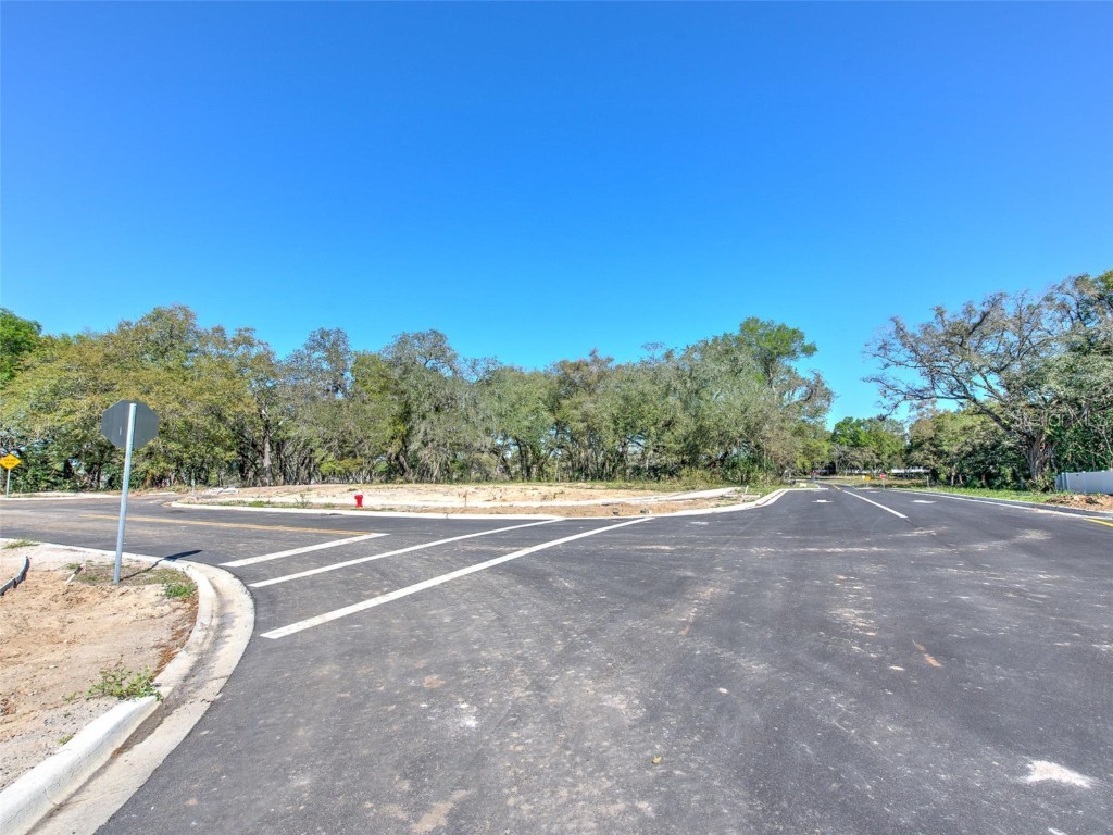 6011 County Road 579 Seffner FL 33584 T2091953 image10