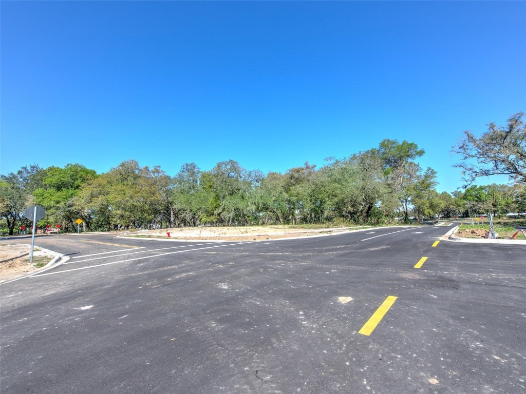 6011 County Road 579 Seffner FL 33584 T2091953 image11