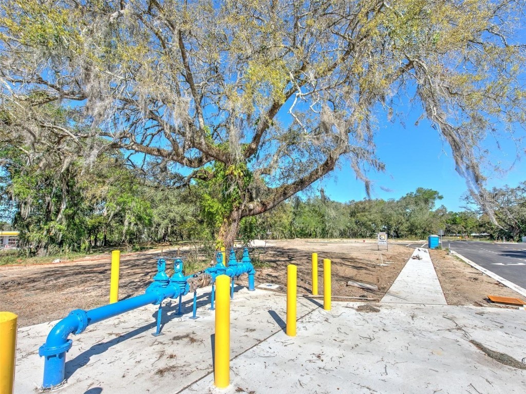 6011 County Road 579 Seffner FL 33584 T2091953 image12