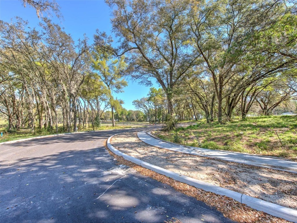 6011 County Road 579 Seffner FL 33584 T2091953 image15