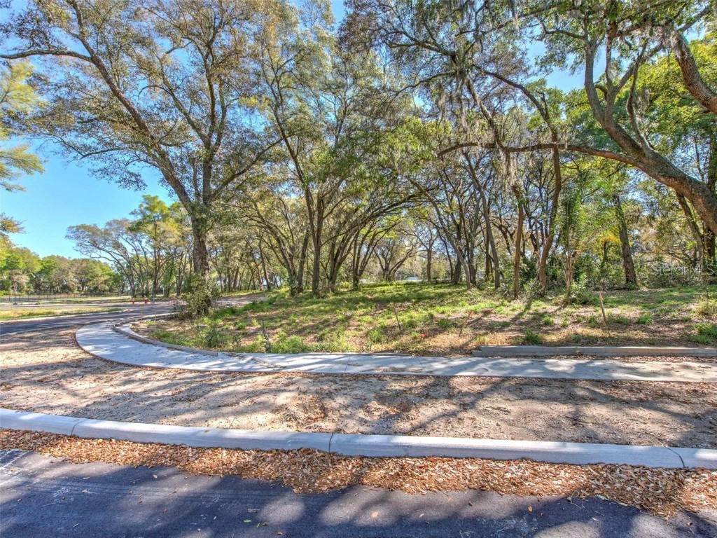 6011 County Road 579 Seffner FL 33584 T2091953 image16