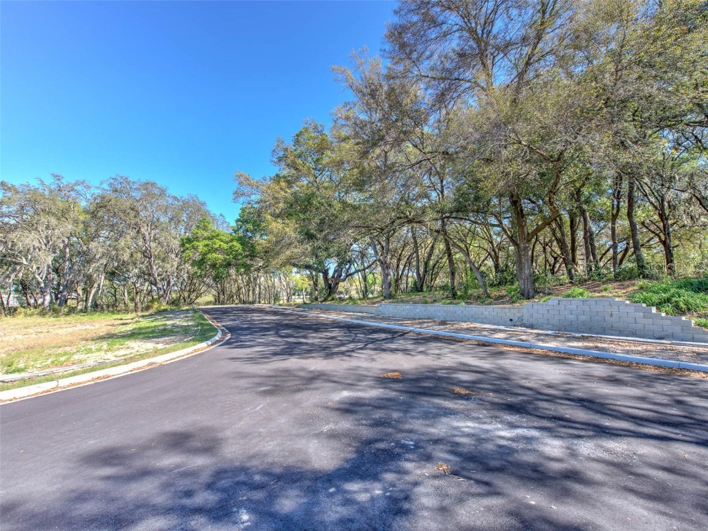 6011 County Road 579 Seffner FL 33584 T2091953 image17