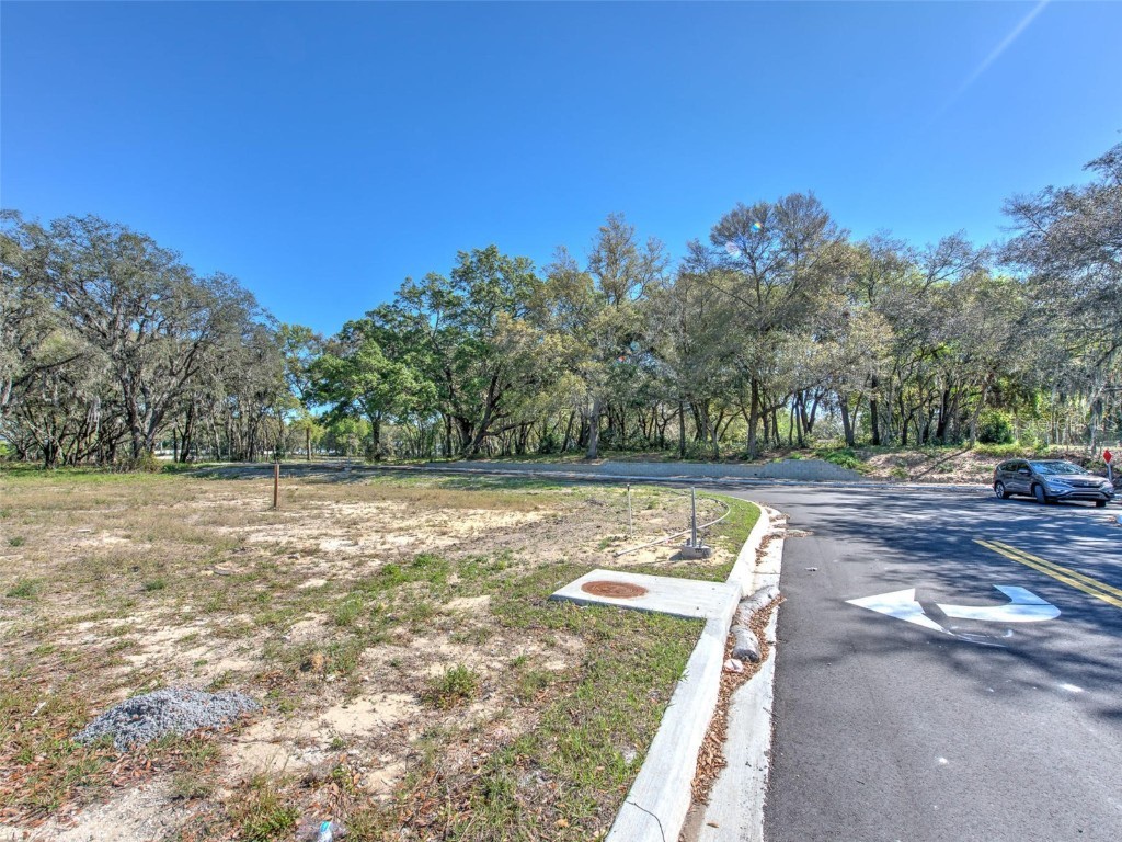 6011 County Road 579 Seffner FL 33584 T2091953 image22