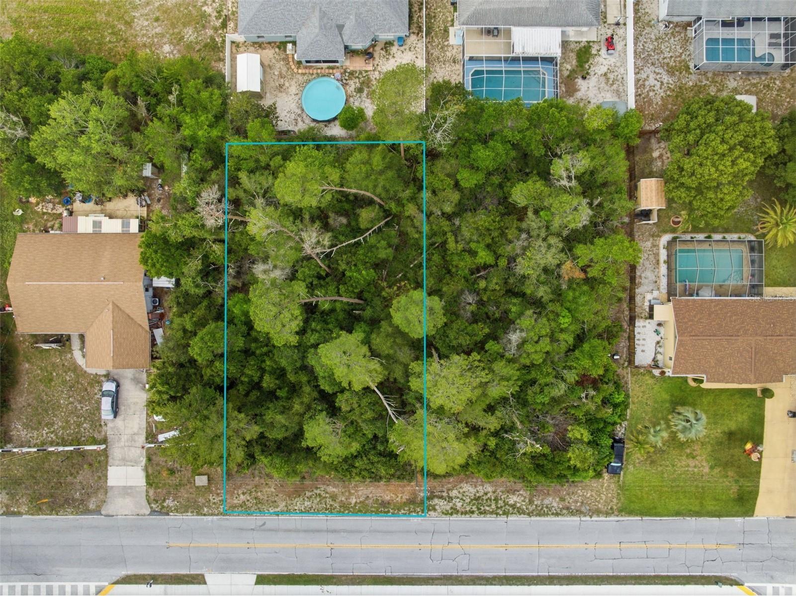 6011 Freeport Drive Spring Hill FL 34606 TB8511913 image1