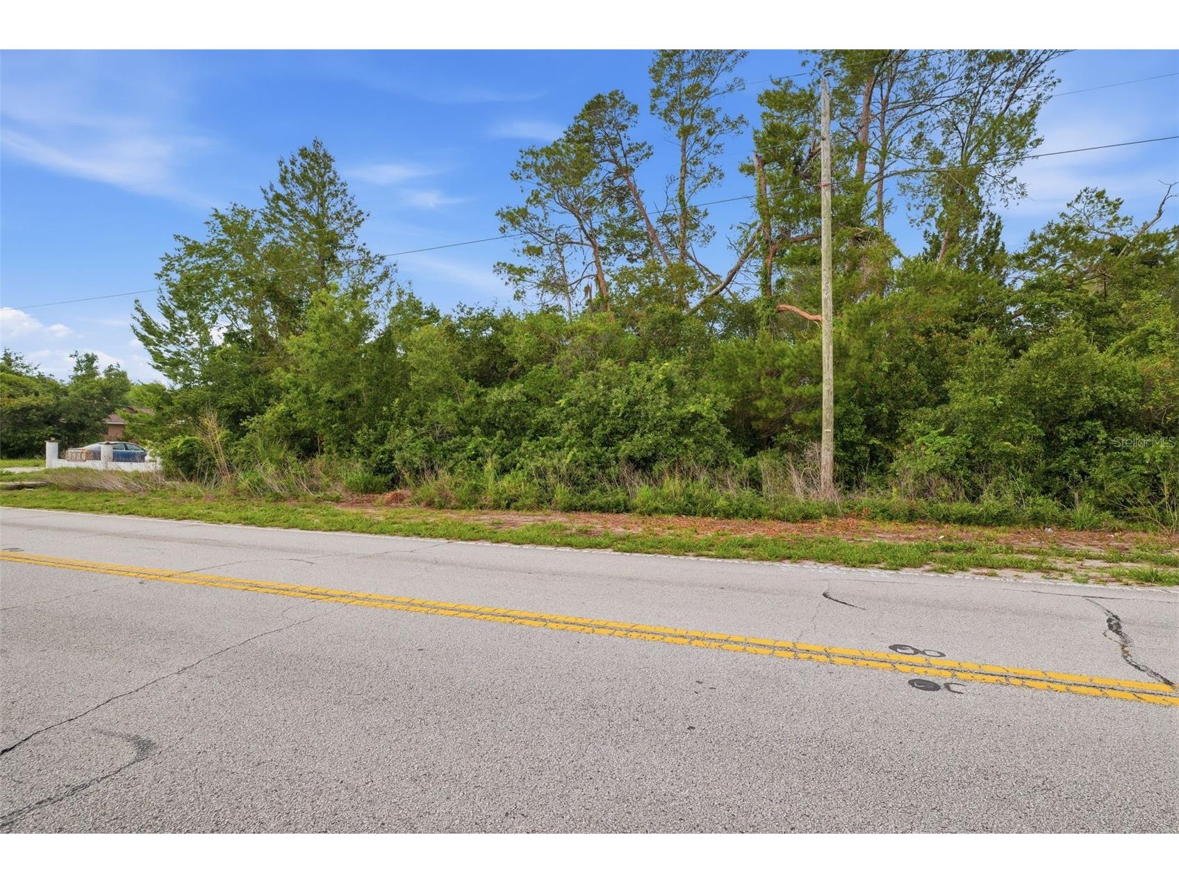 6011 Freeport Drive Spring Hill FL 34606 TB8511913 image4