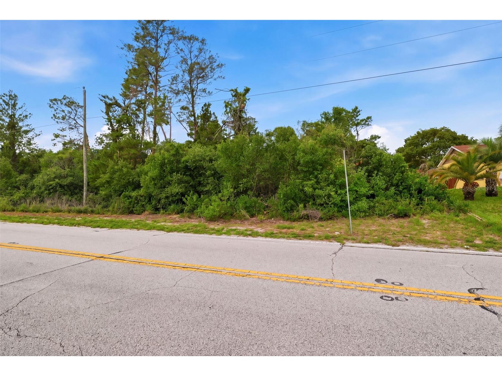 6011 Freeport Drive Spring Hill FL 34606 TB8511913 image7