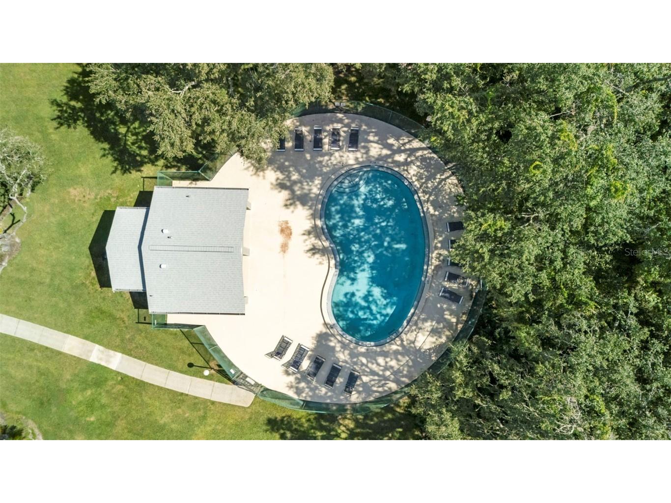 6011 Laketree Lane #D Temple Terrace FL 33617 O6353318 image25