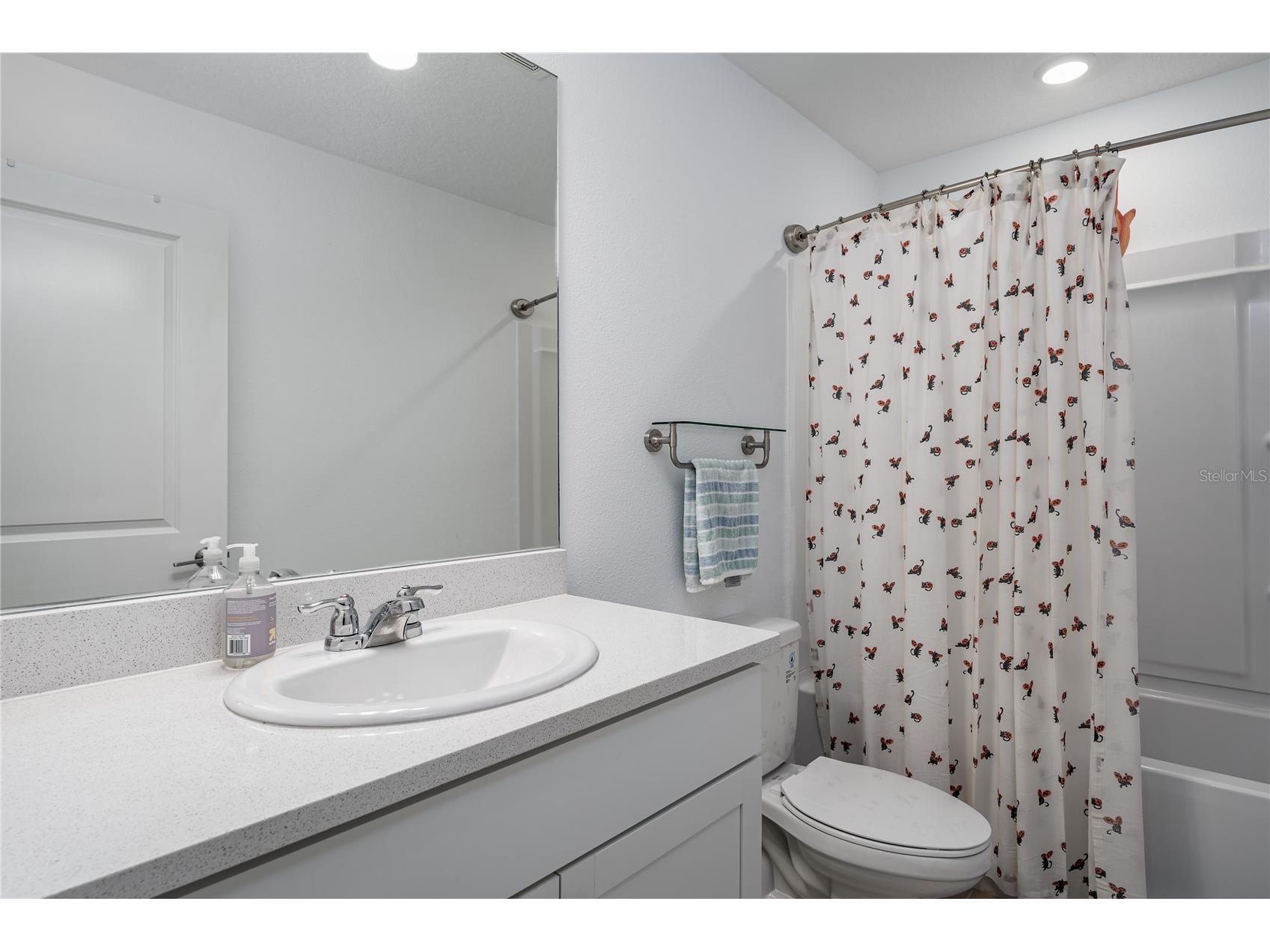 6011 Whetstone Court Palmetto FL 34221 A4684062 image15