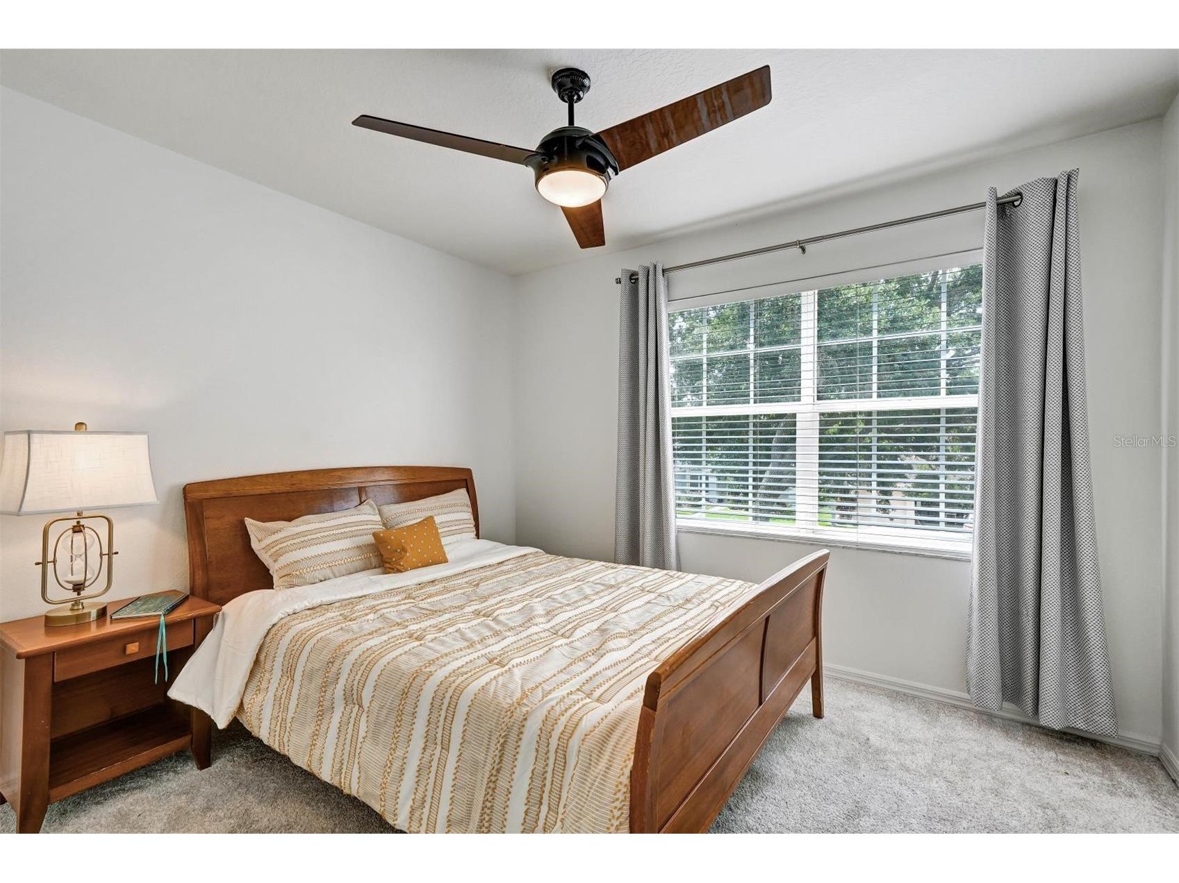 6011 Williamsburg Way Tampa FL 33625 TB8506102 image37