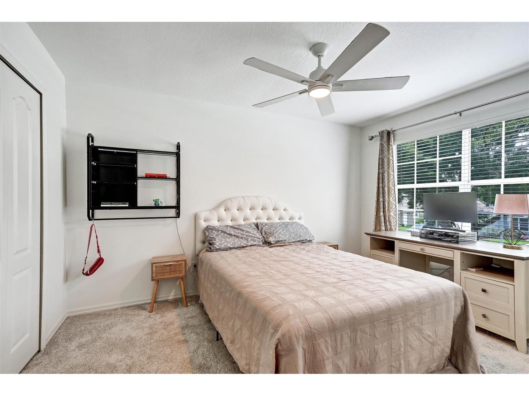 6011 Williamsburg Way Tampa FL 33625 TB8506102 image40