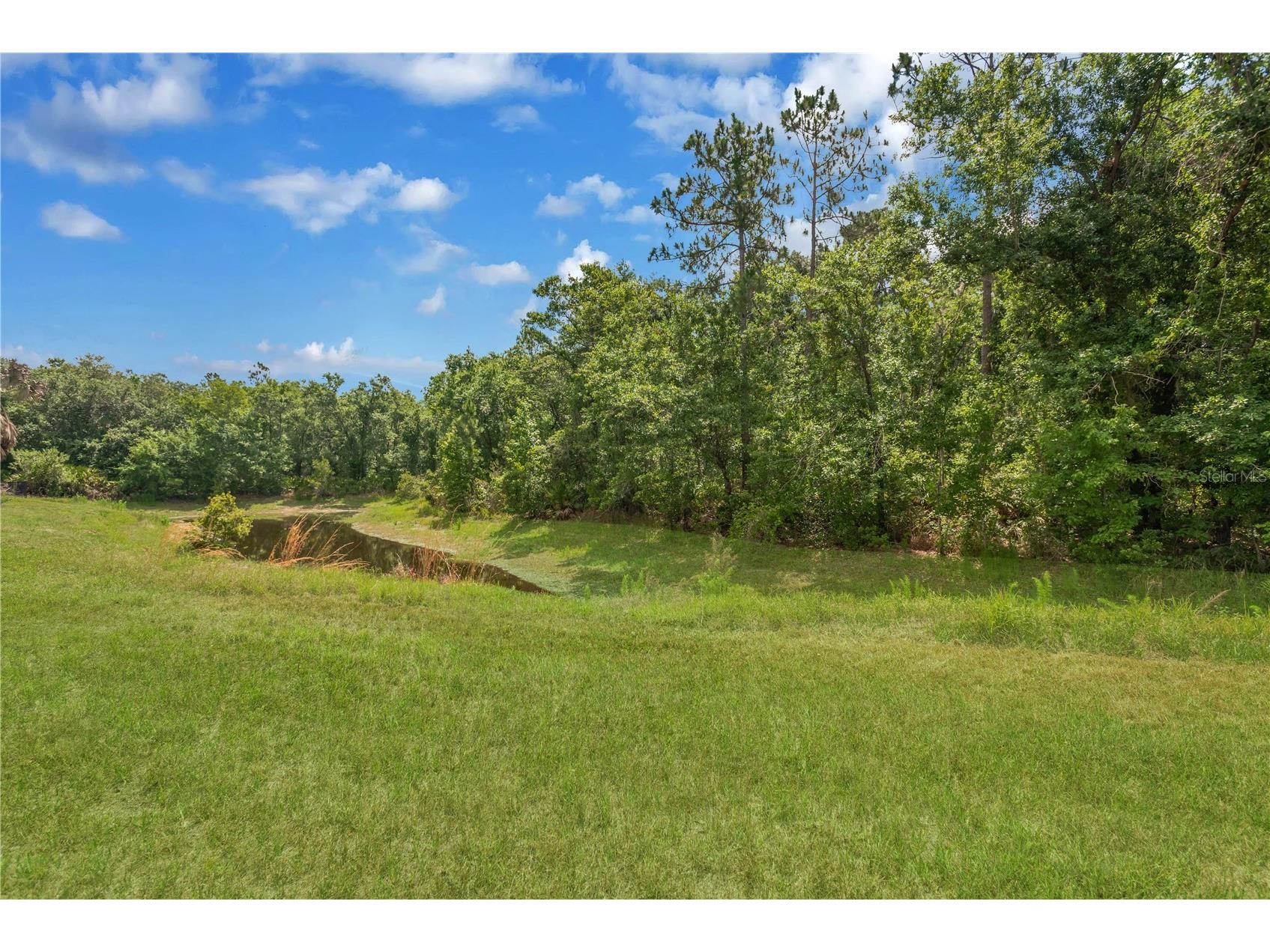 6012 Kiteridge Drive Lithia FL 33547 TB8509992 image28