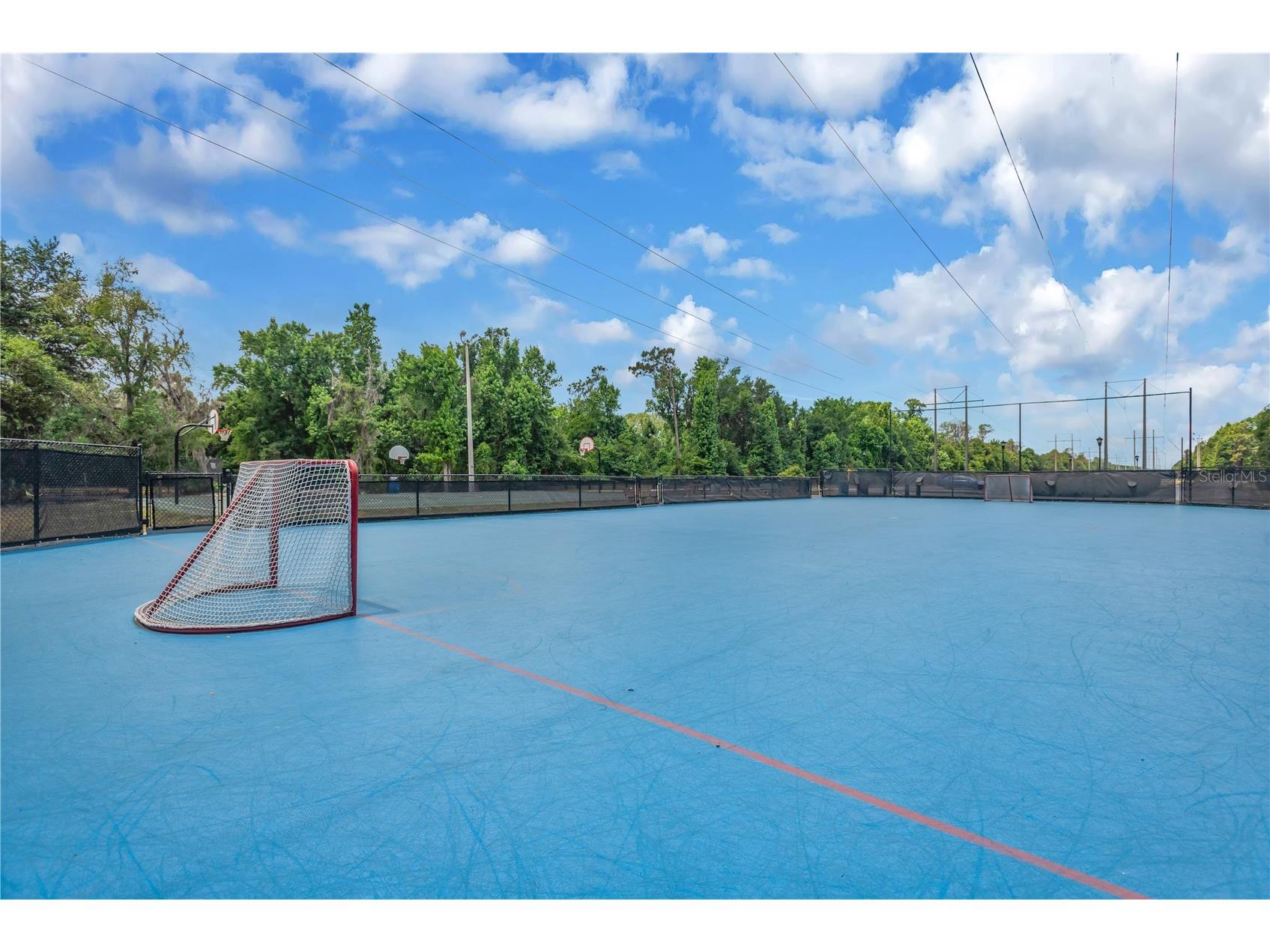 6012 Kiteridge Drive Lithia FL 33547 TB8509992 image34