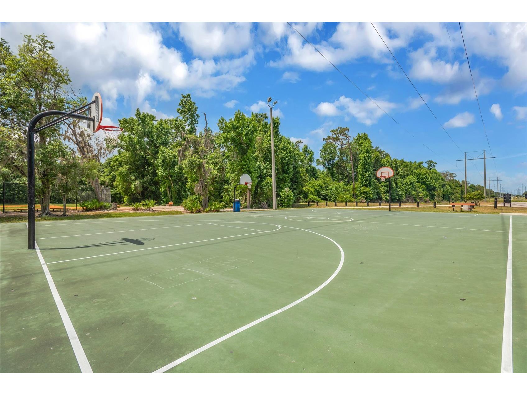 6012 Kiteridge Drive Lithia FL 33547 TB8509992 image35