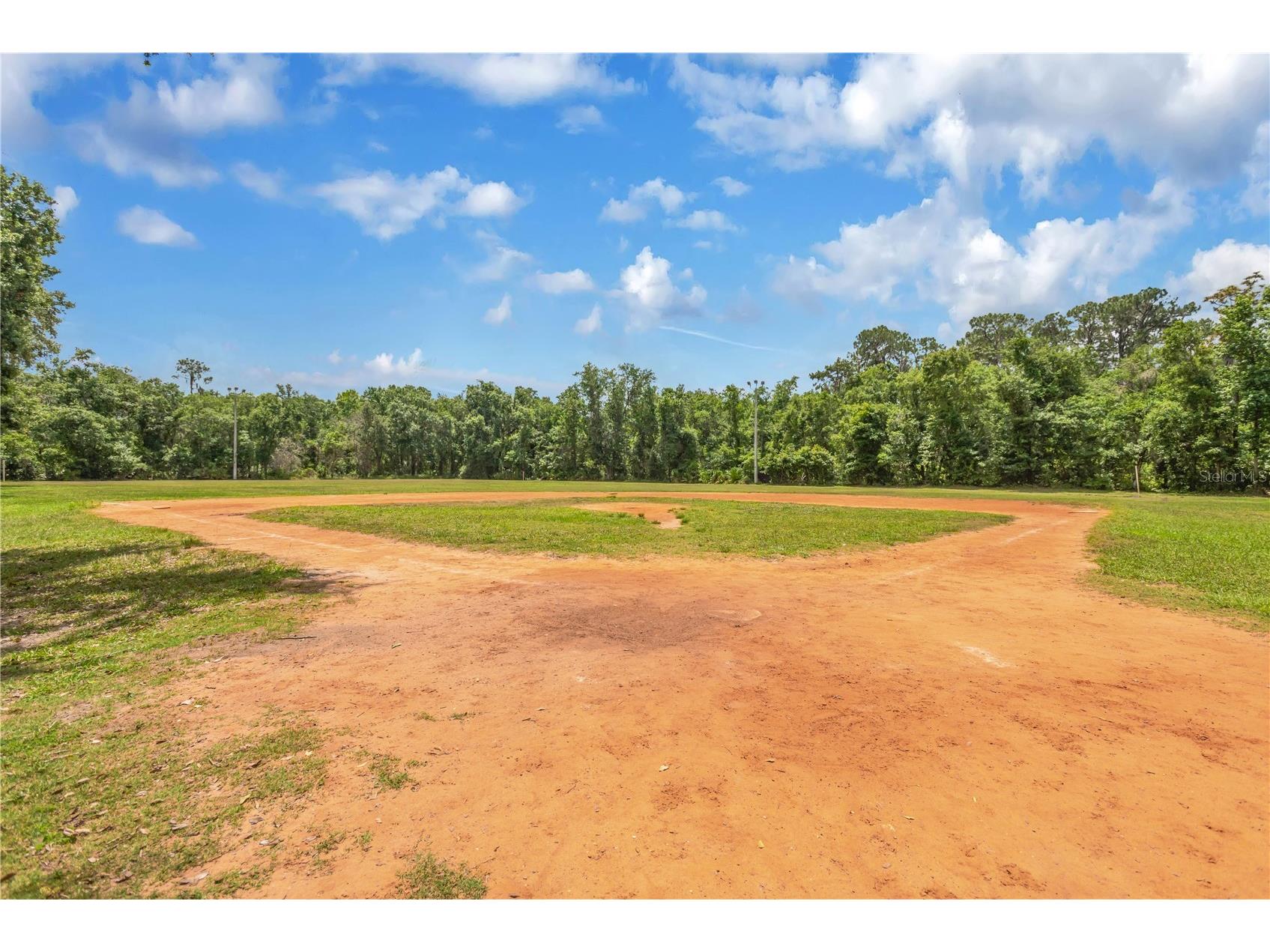 6012 Kiteridge Drive Lithia FL 33547 TB8509992 image36