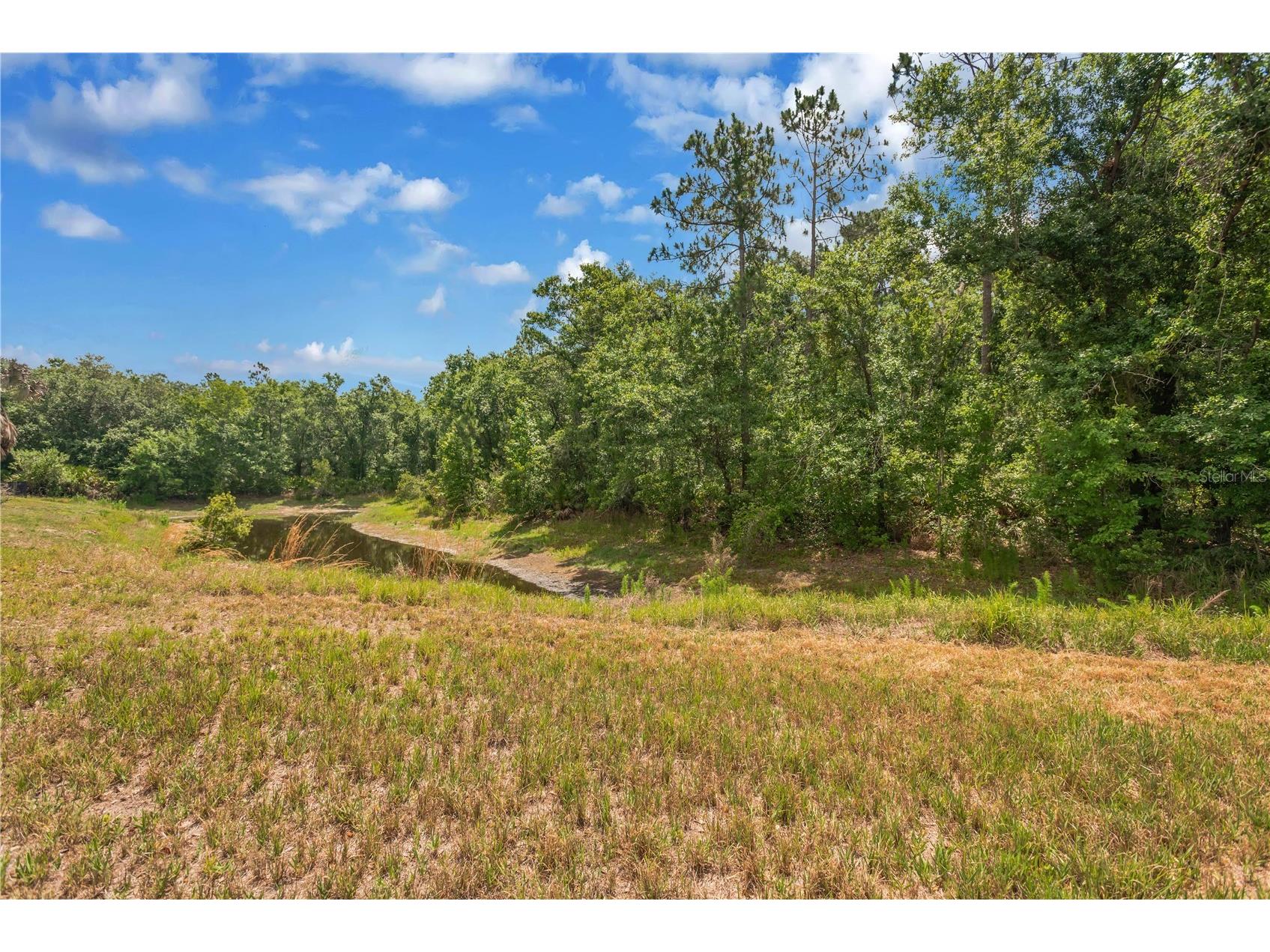 6012 Kiteridge Drive Lithia FL 33547 TB8509992 image47