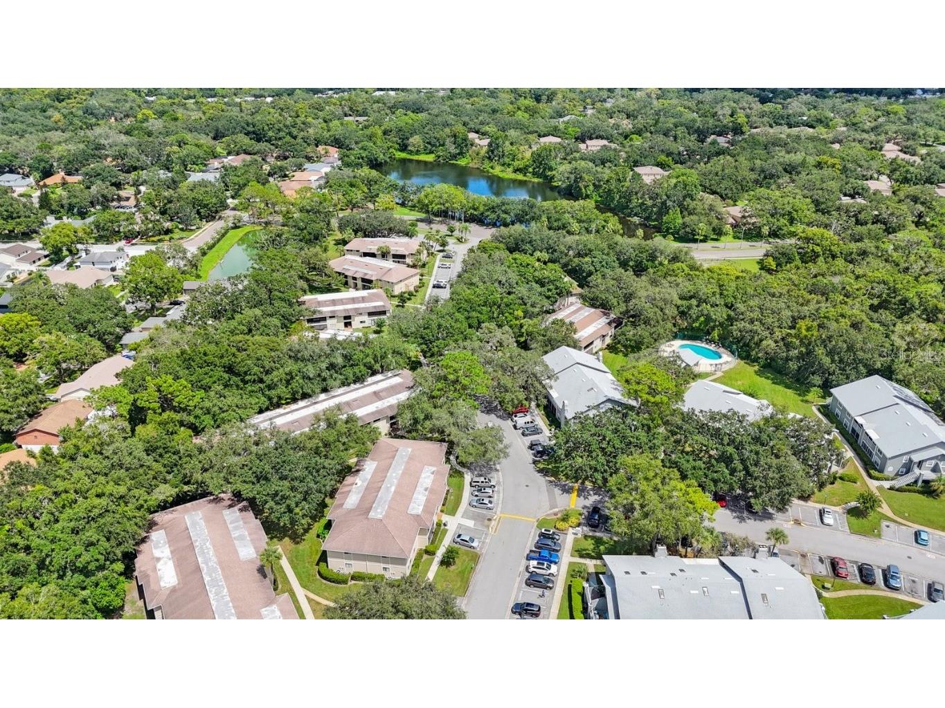 6012 Laketree Lane #F Temple Terrace FL 33617 TB8423752 image23