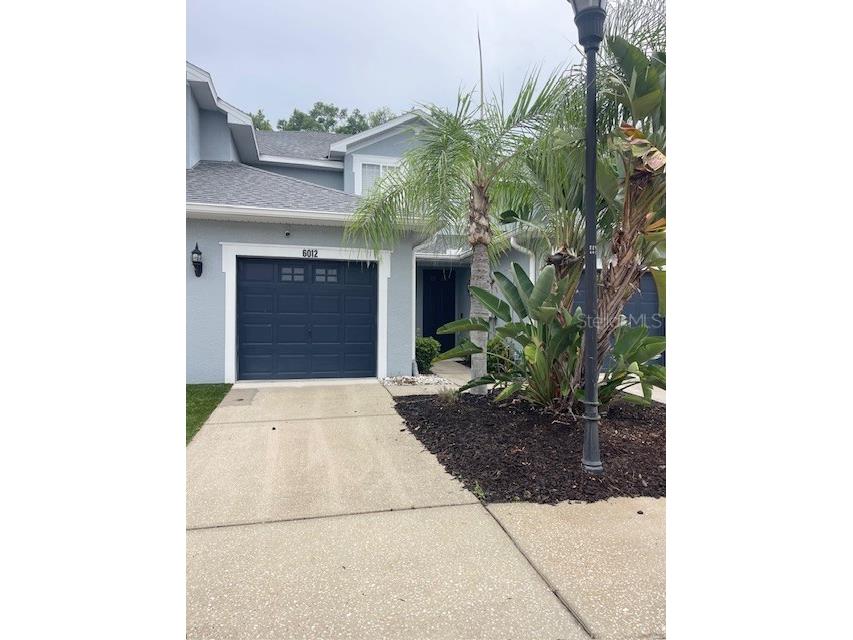 6012 Parkside Meadow Drive Tampa FL 33625 TB8527816 image1