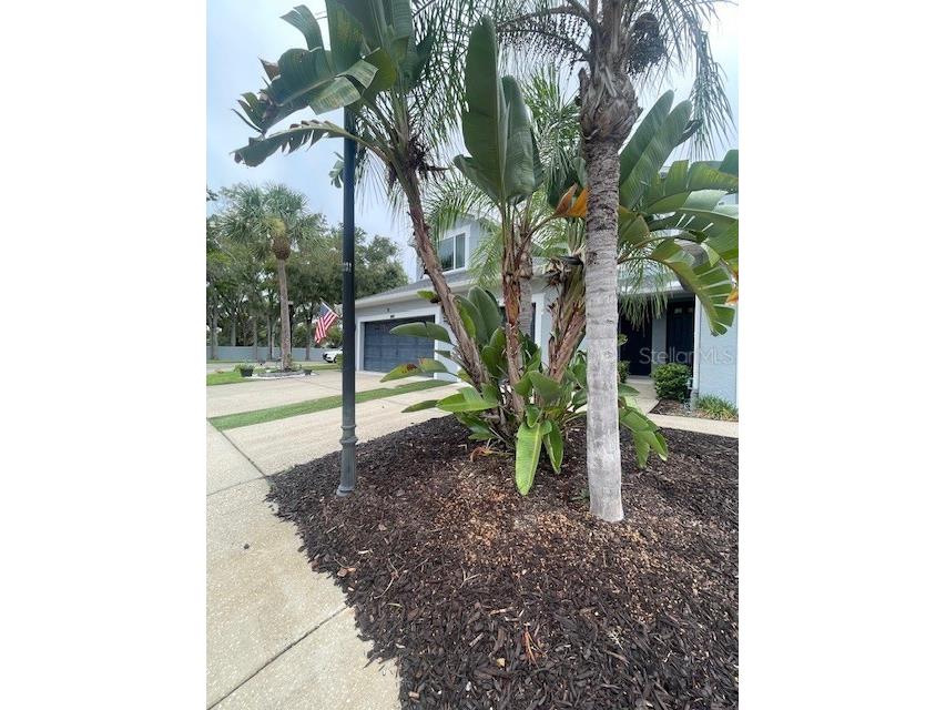 6012 Parkside Meadow Drive Tampa FL 33625 TB8527816 image2