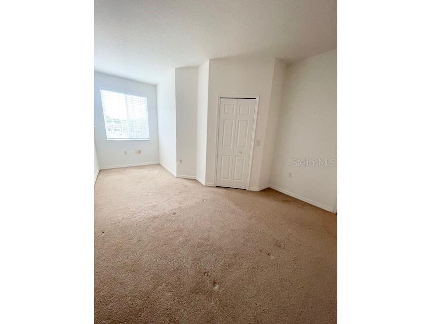 6012 Parkside Meadow Drive Tampa FL 33625 TB8527816 image23