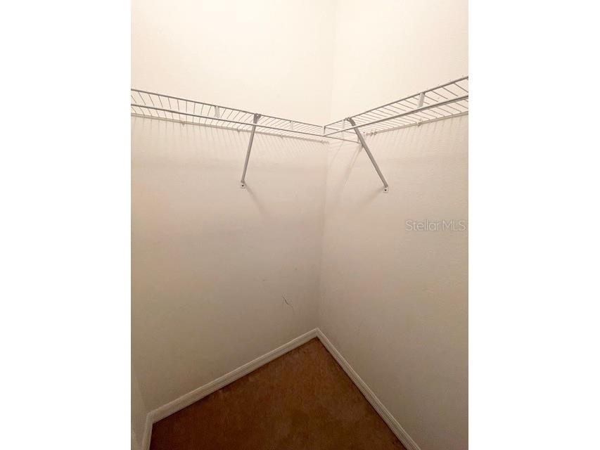 6012 Parkside Meadow Drive Tampa FL 33625 TB8527816 image25