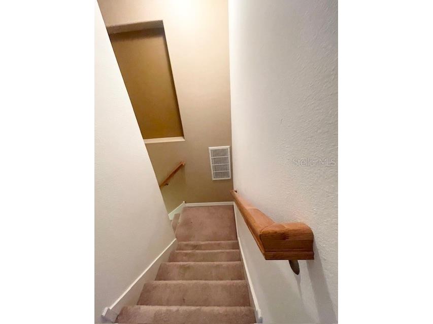 6012 Parkside Meadow Drive Tampa FL 33625 TB8527816 image28