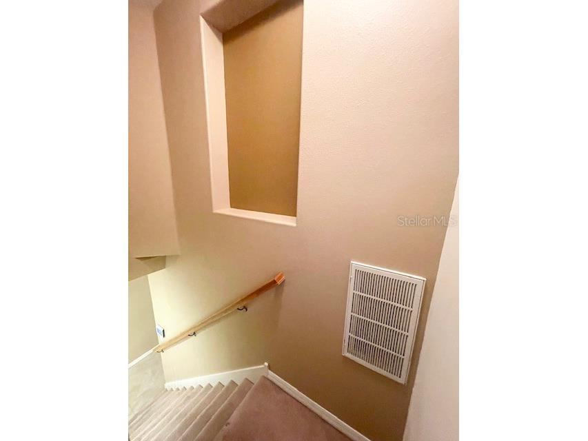 6012 Parkside Meadow Drive Tampa FL 33625 TB8527816 image29