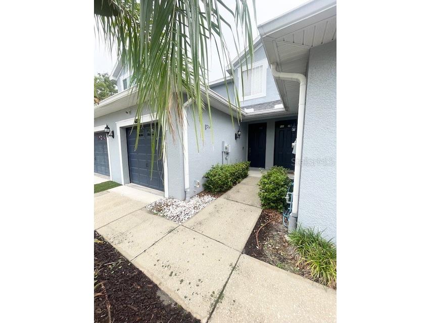 6012 Parkside Meadow Drive Tampa FL 33625 TB8527816 image3