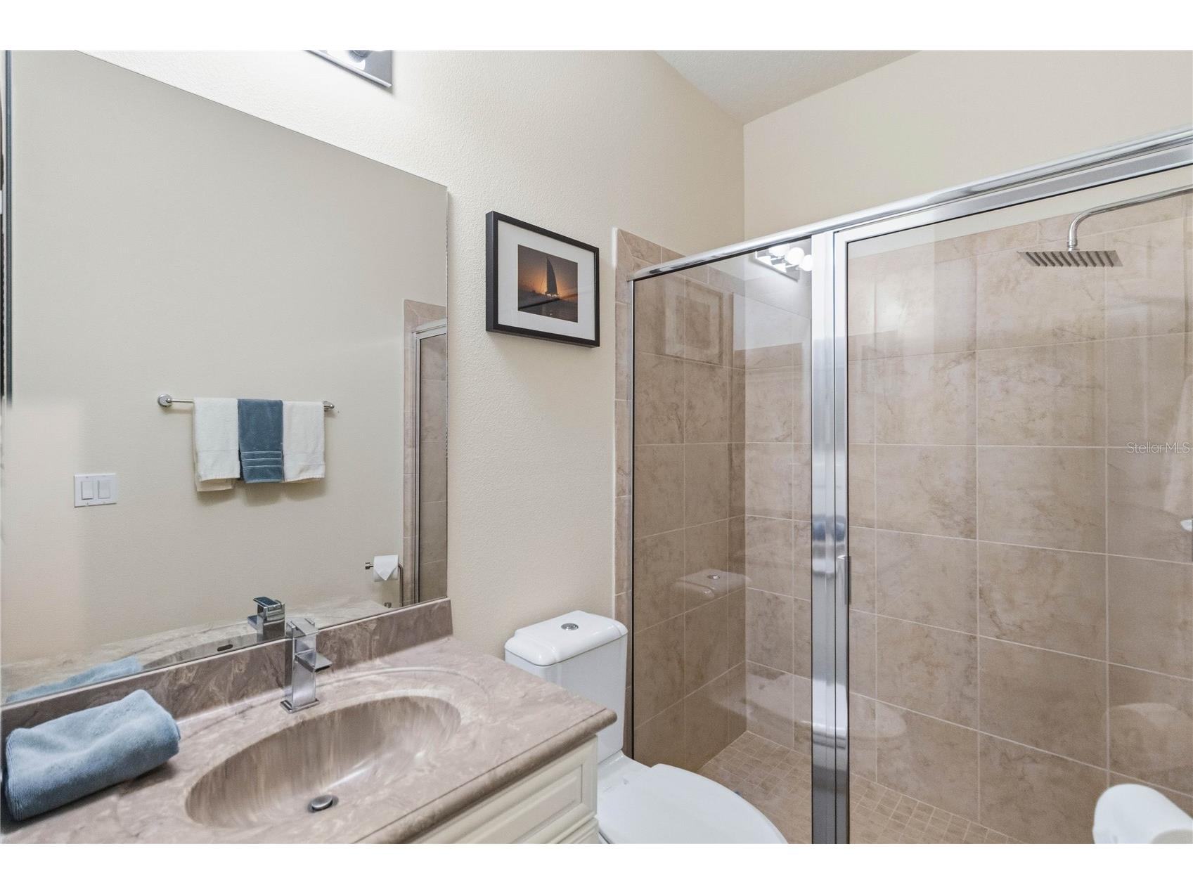 6012 Roseate Spoonbill Drive Windermere FL 34786 O6393392 image21
