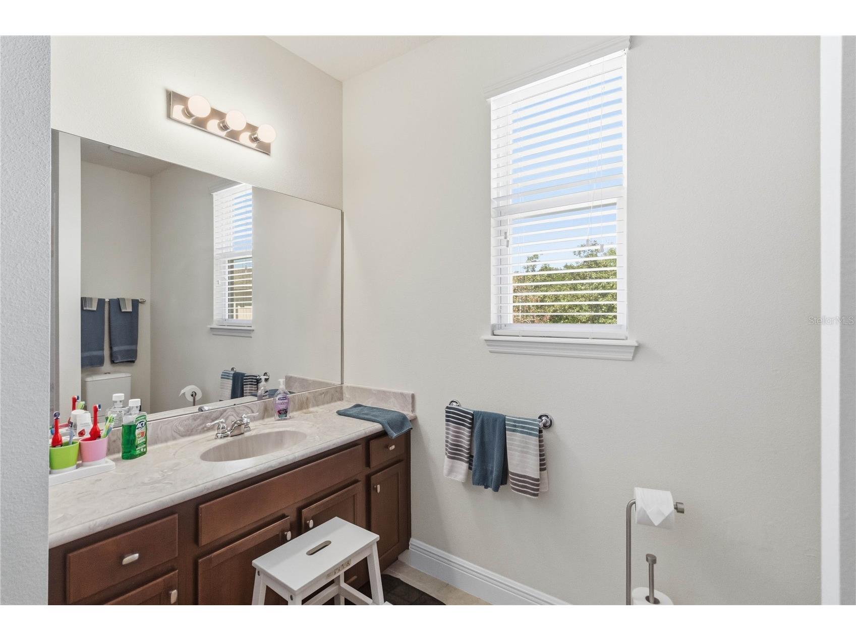 6012 Roseate Spoonbill Drive Windermere FL 34786 O6393392 image34