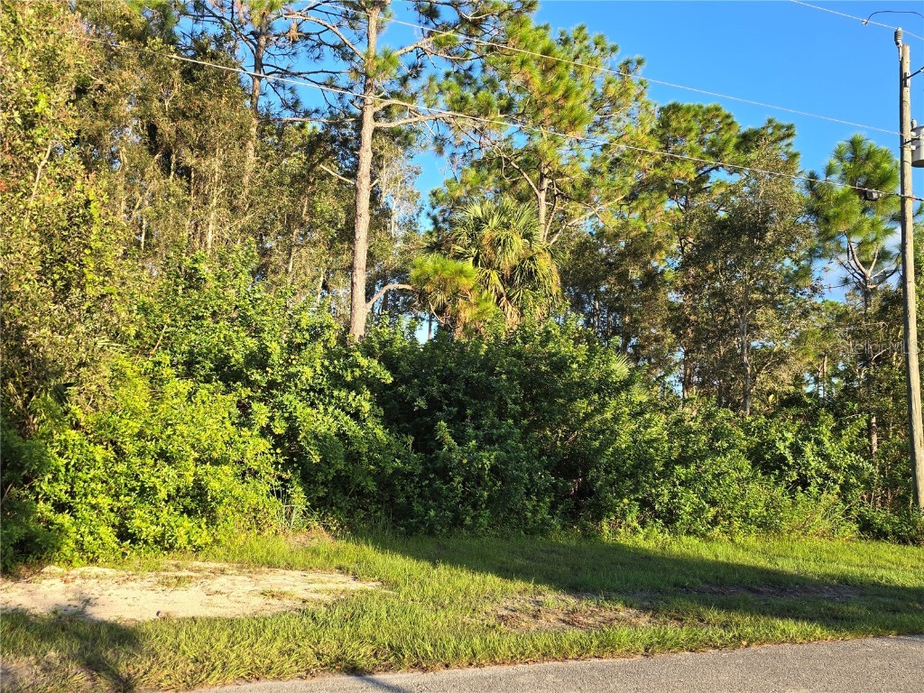 6012 Sara Avenue N Lehigh Acres FL 33971 O6353943 image4