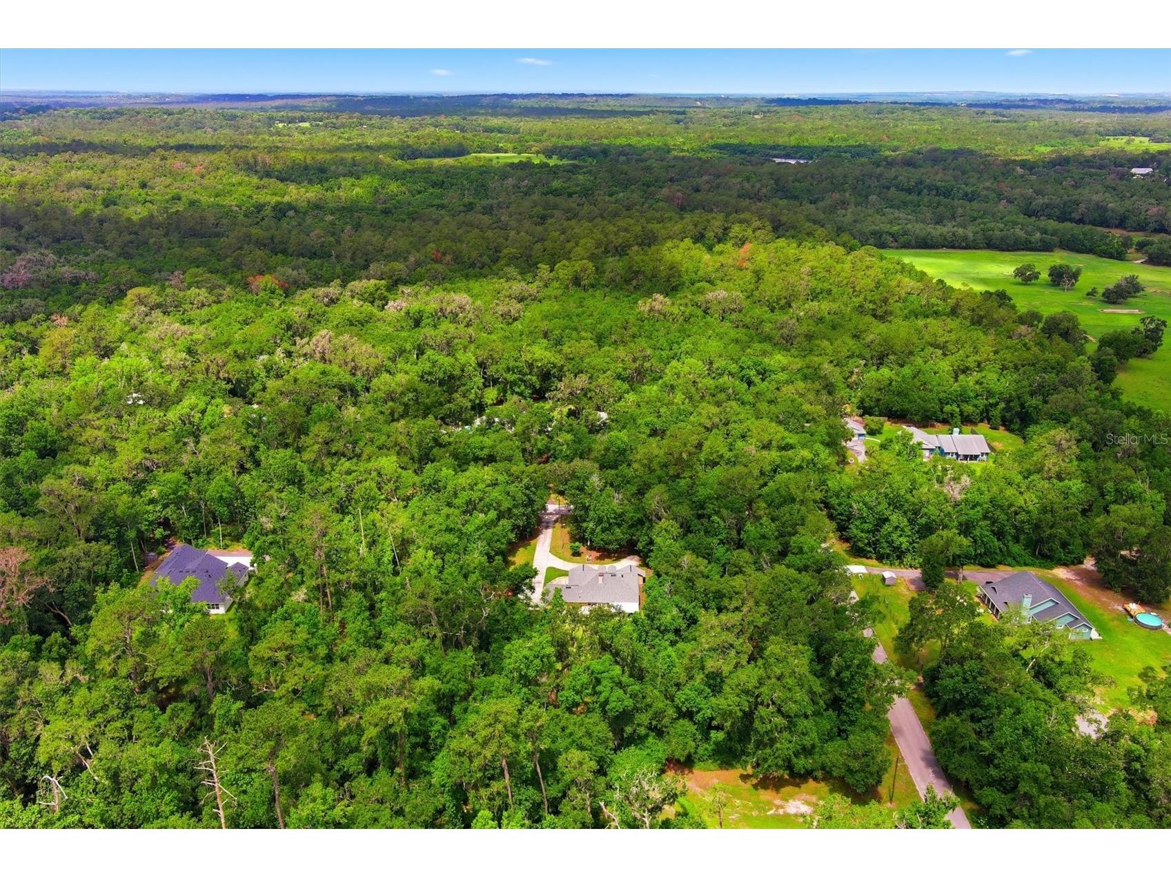 6012 Valley Spring Drive Brooksville FL 34601 OM725474 image49