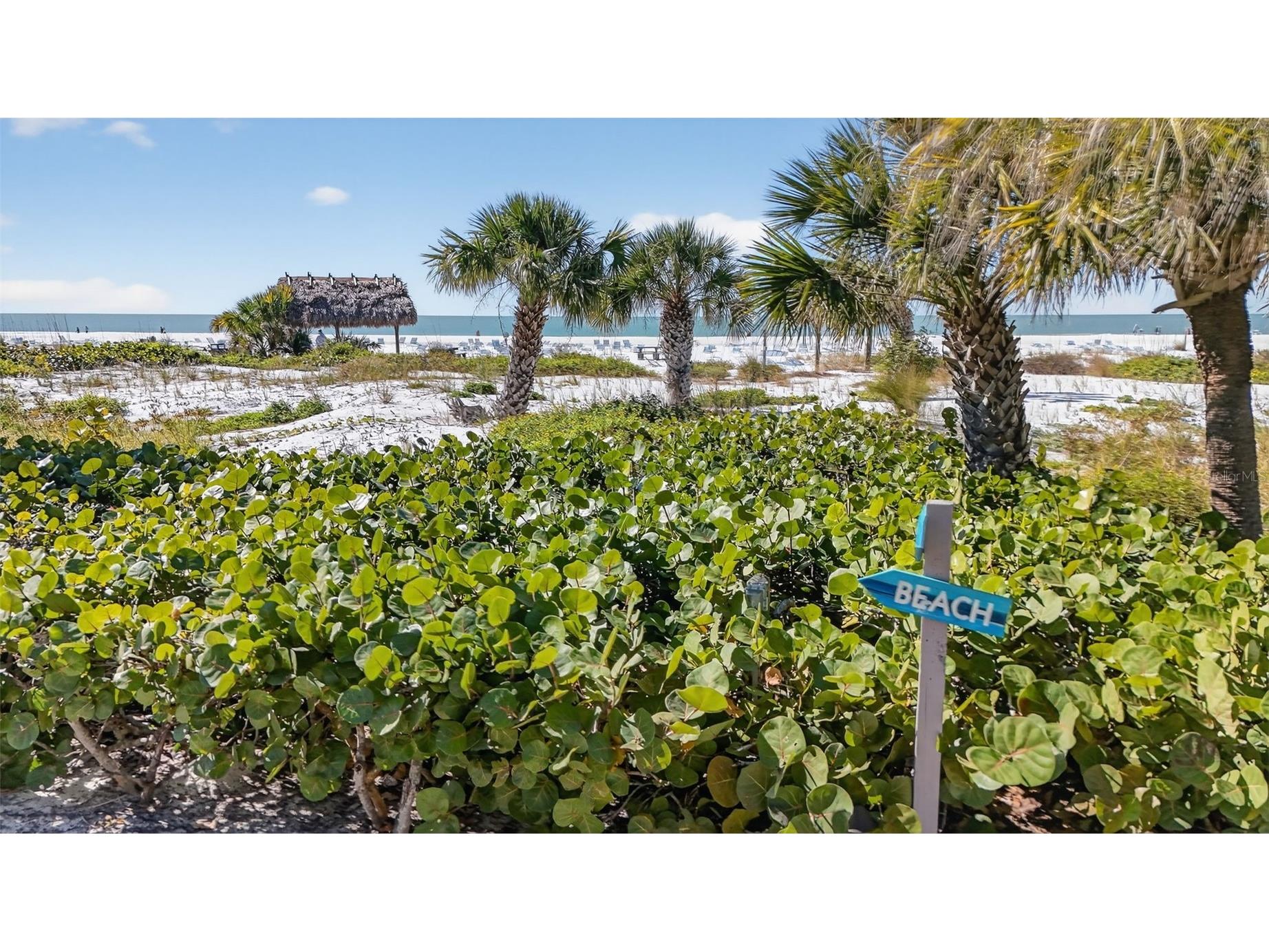 6012 W Peppertree Way #227B Sarasota FL 34242 A4685241 image38