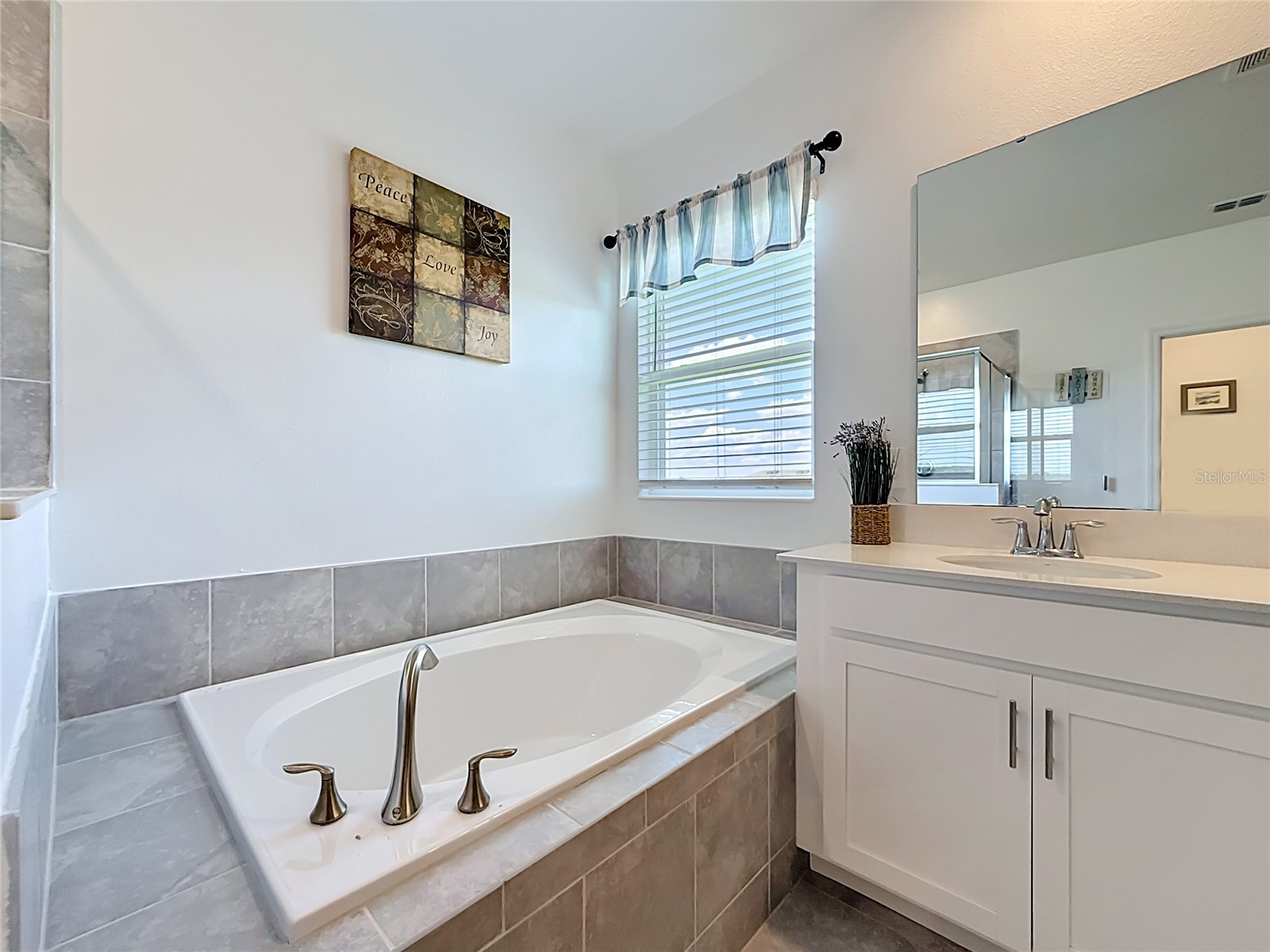 6013 Claystone Way Mount Dora FL 32757 S5150048 image23