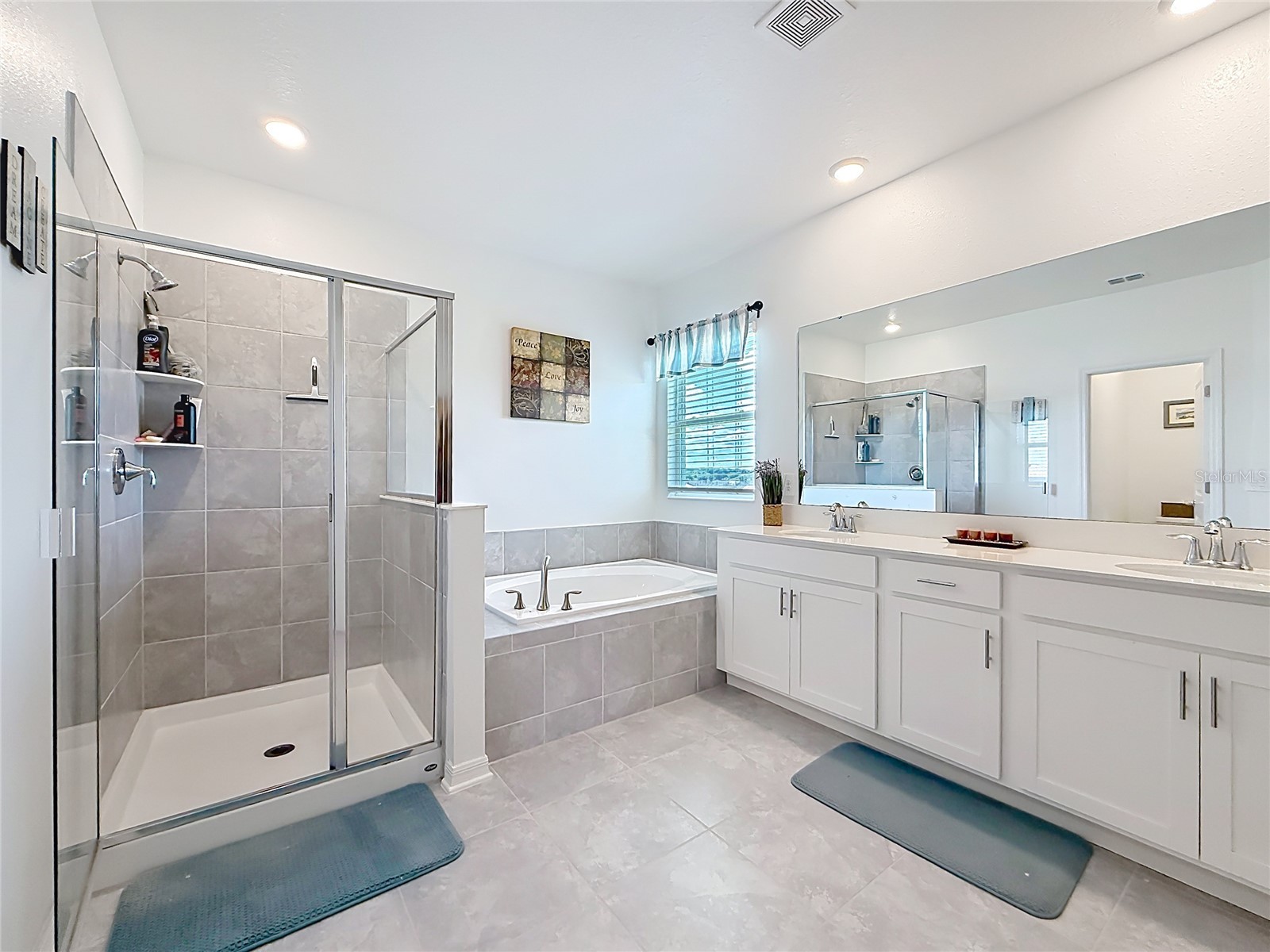 6013 Claystone Way Mount Dora FL 32757 S5150048 image24