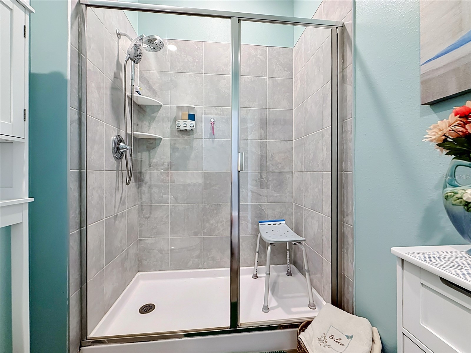 6013 Claystone Way Mount Dora FL 32757 S5150048 image30