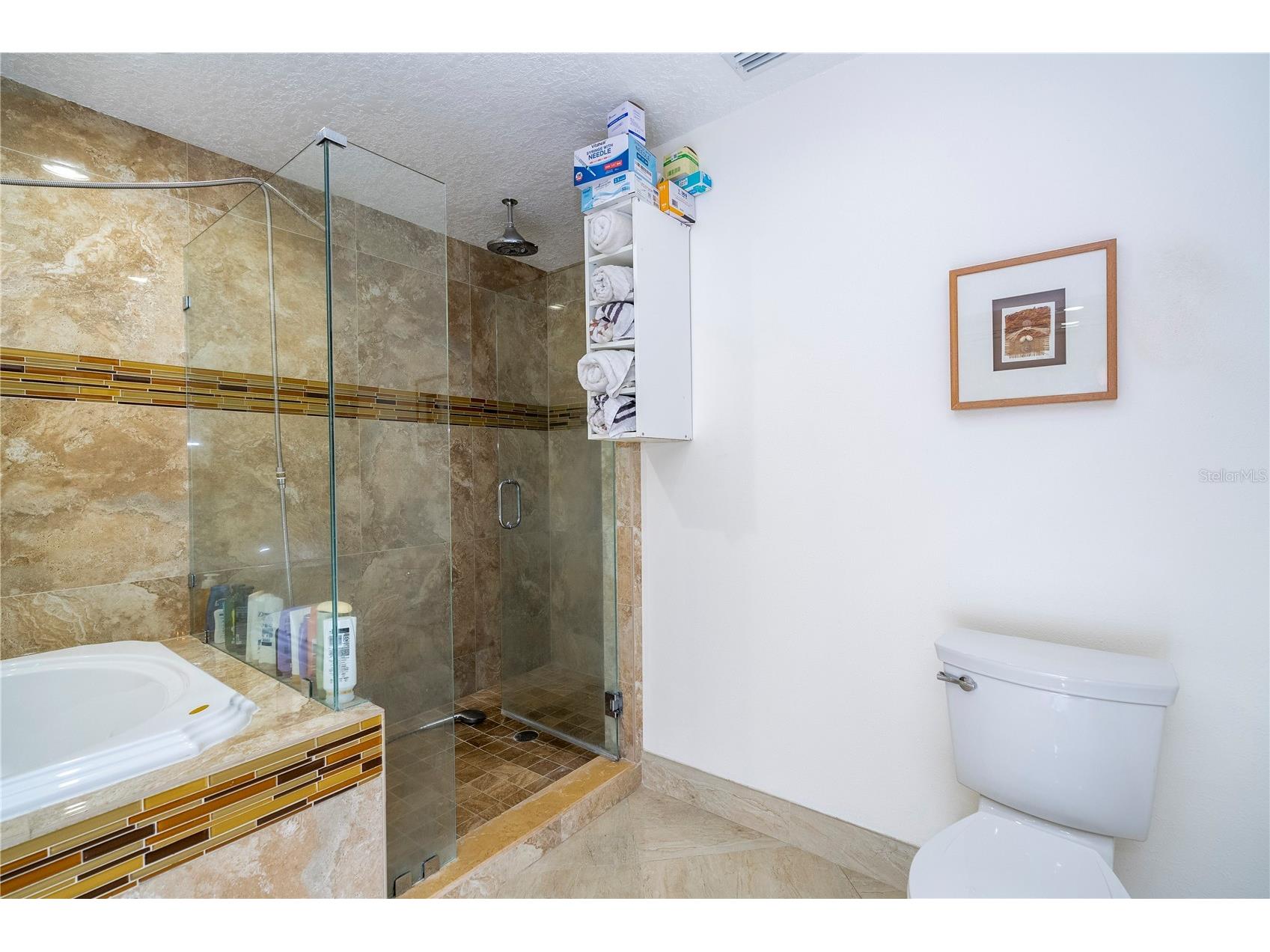 6013 Crystal View Drive Orlando FL 32819 O6379831 image49