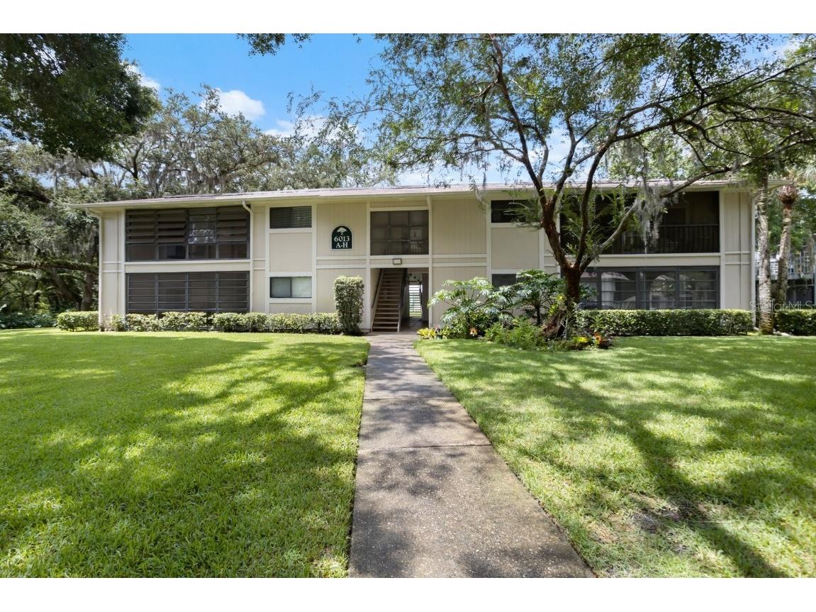 6013 Laketree Lane #B Temple Terrace FL 33617 U8207337 image1