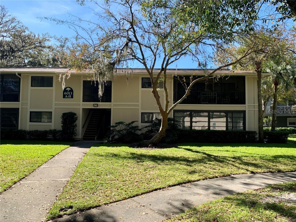 6013 Laketree Lane #E Temple Terrace FL 33617 J966313 image1