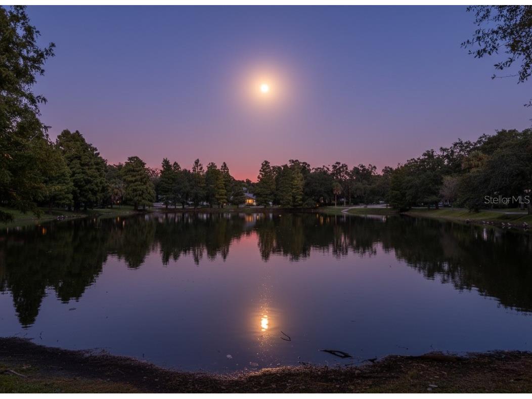 6013 Roberta Circle Tampa FL 33604 TB8431464 image3