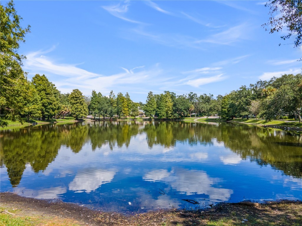 6013 Roberta Circle Tampa FL 33604 TB8431464 image36